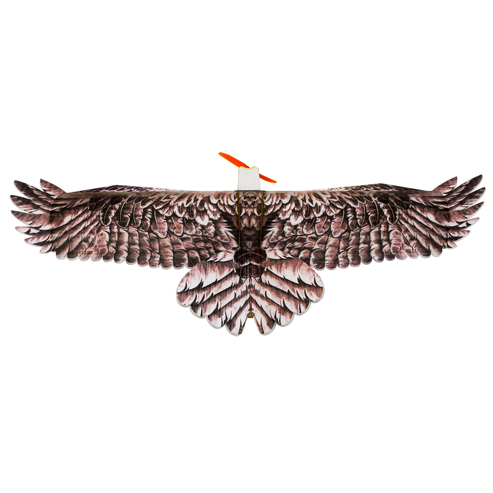 DW Hobby Eagle II EPP Самолет  – обзор и цена Model Kit Expert